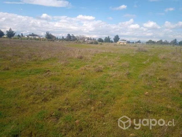 Se vende Parcela (5000 m2) Parral