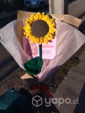 Amigurumis, Crochet