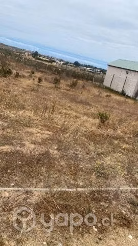 Vendo terreno en Quilimari los vilos