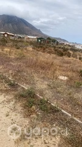 Vendo terreno en Quilimari los vilos