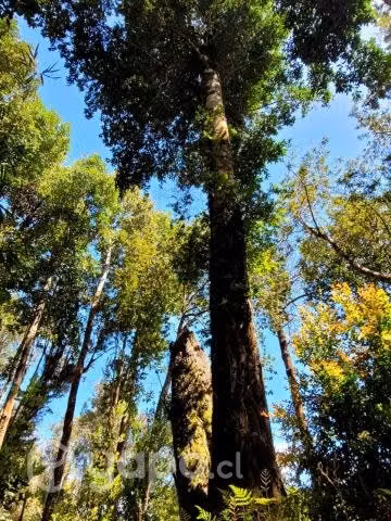 Se vende hermosa parcela en Puerto Varas
