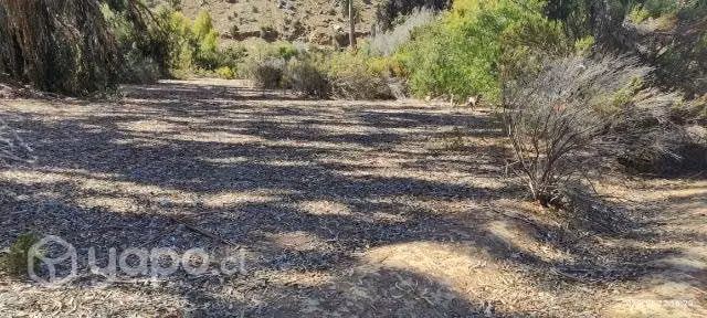 Terreno en venta