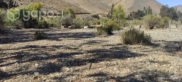 Terreno en venta