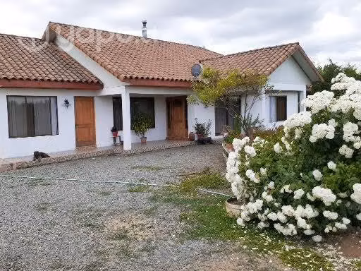 Si vende
