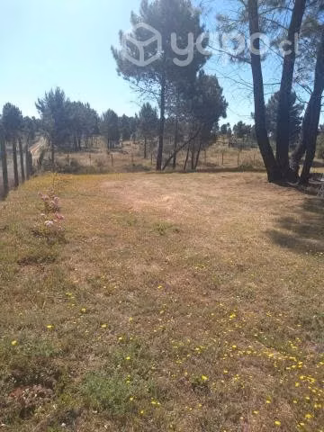 Parcela con casa y agua