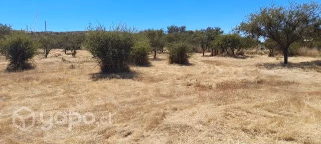 terreno en Litueche
