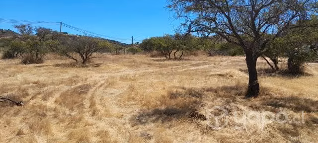 terreno en Litueche