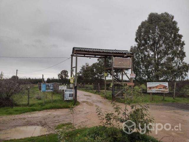 Campo en sector de Purapel - Imagen 3