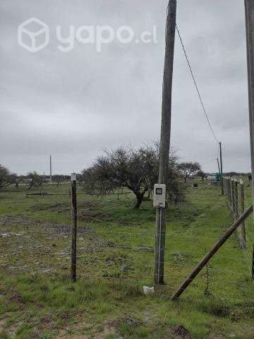 Campo en sector de Purapel - Imagen 6