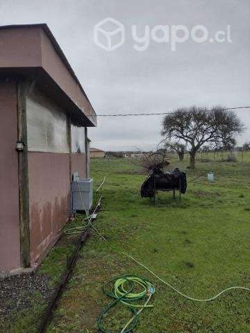 Campo en sector de Purapel - Imagen 4