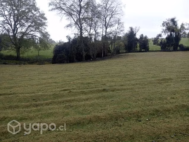 Parcela en Panguipulli