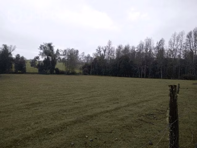 Parcela en Panguipulli
