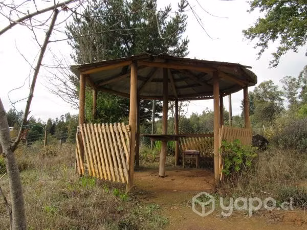 Se vende campo a pasos de Concepción - Imagen 3