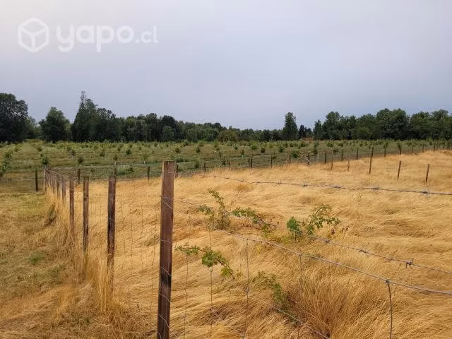 Terreno 1000m2 a 13 minutos del Lago Ranco