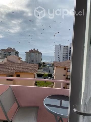 Se arrienda hermoso departamento con vista al mar