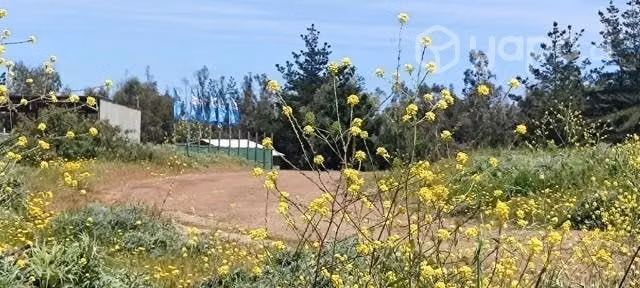 Parcela forestal