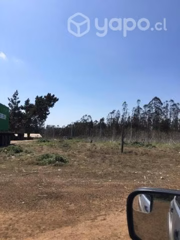 Parcela forestal