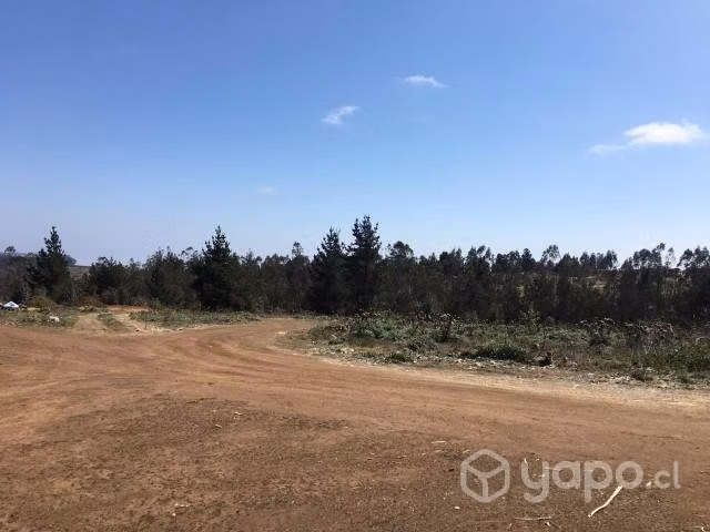Parcela forestal