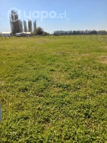 Venta parcela camino el peral - Imagen 7