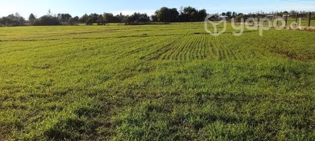 Terreno de 3 hectareas en Parral