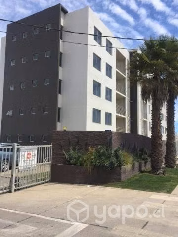 Arriendo departamento año corrido