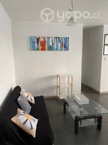 Arriendo departamento año corrido