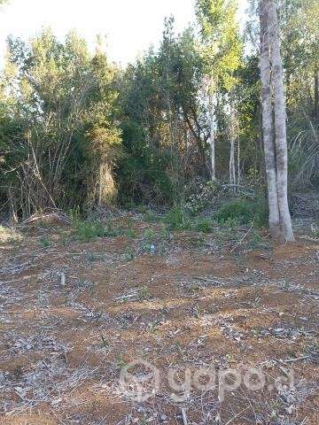 Se vende parcela - Imagen 4