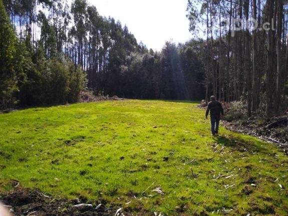 Terreno en Ancud - Imagen 3
