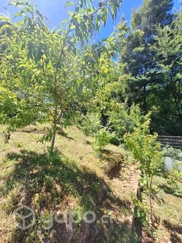 Se vende terreno en Hualqui con quincho y tinaja