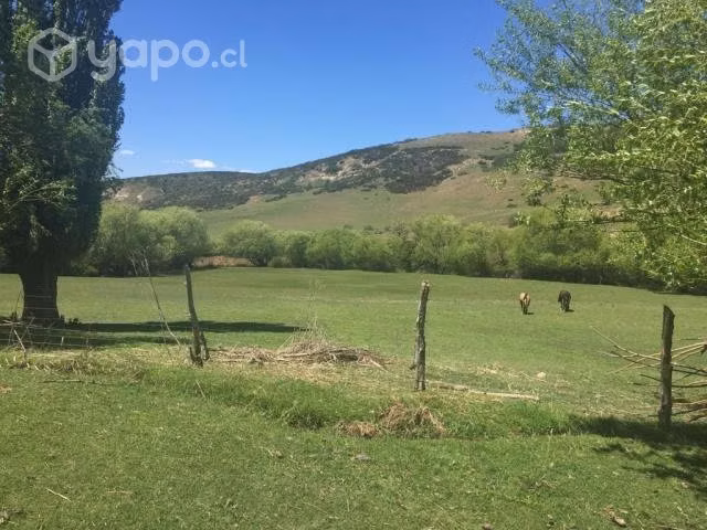 Lomas Altas, Rucañanco, comuna Lonquimay