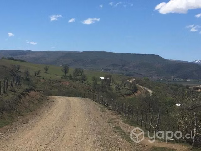 Lomas Altas, Rucañanco, comuna Lonquimay - Imagen 16