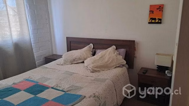 Vendo departamento (troncos viejos)