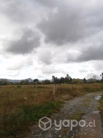 Vendo parcela 1 hectárea San Clemente corralones