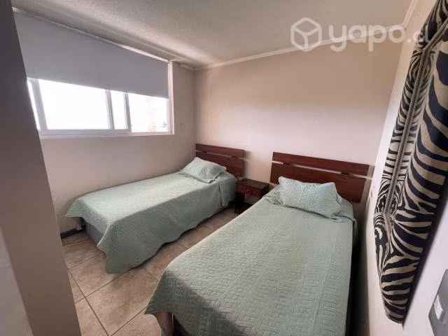 Hermoso Departamento, Primera Línea, Avda. del Mar - Imagen 4