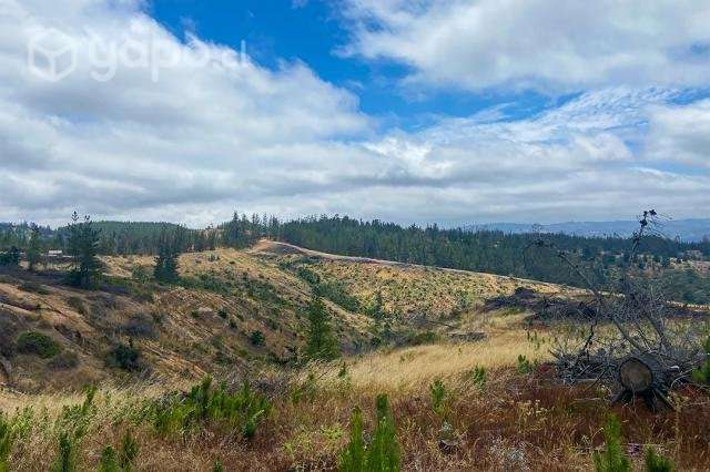 Parcelas El Trébol de Pichilemu - Imagen 4