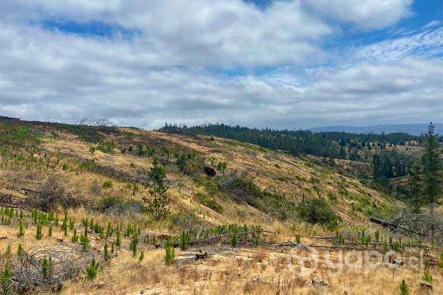 Parcelas El Trébol de Pichilemu - Imagen 2
