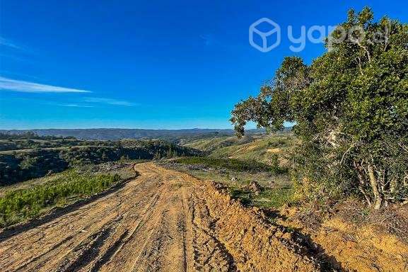 Parcelas El Trébol de Pichilemu - Imagen 7