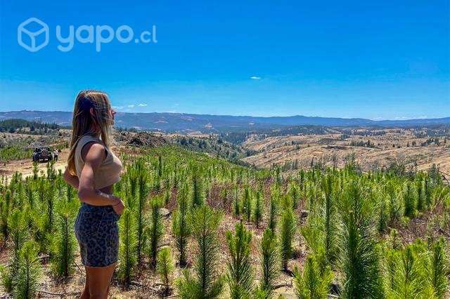 Parcelas El Trébol de Pichilemu - Imagen 9