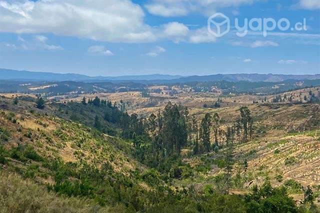 Parcelas El Trébol de Pichilemu - Imagen 3