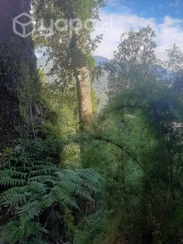 Hermoso terreno en carretera austral