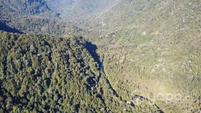 Hermoso terreno en carretera austral