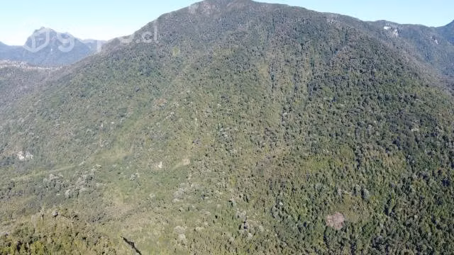 Hermoso terreno en carretera austral