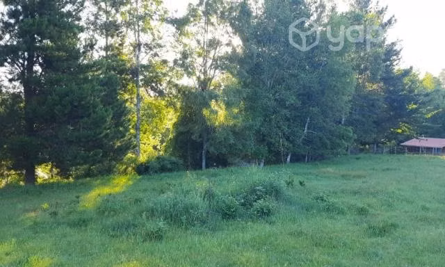 Parcela de 5000m2, Freire