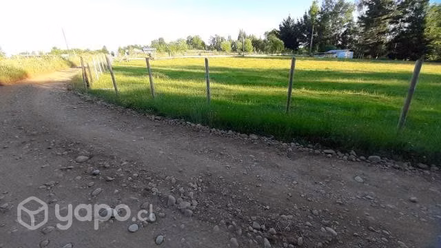 Parcela de 5000m2, Freire