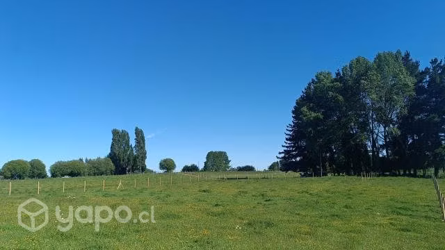 Parcela 5000m2, sector sargento aldea, u-120 - Imagen 7