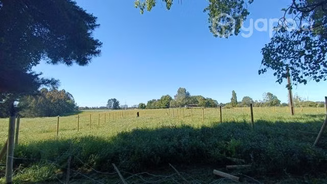 Parcela 5000m2, sector sargento aldea, u-120