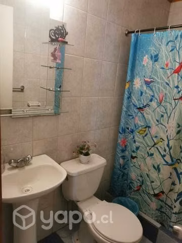 Cabaña en quillon