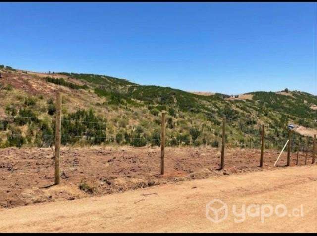 Vendo Terreno 5 mil mts2 - Imagen 6