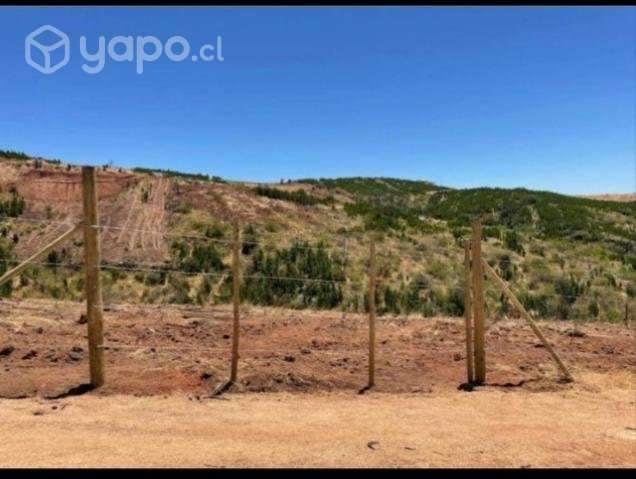 Vendo Terreno 5 mil mts2 - Imagen 5