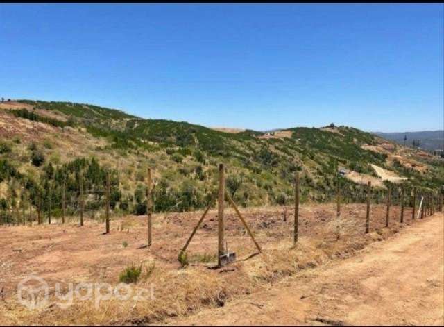 Vendo Terreno 5 mil mts2 - Imagen 4
